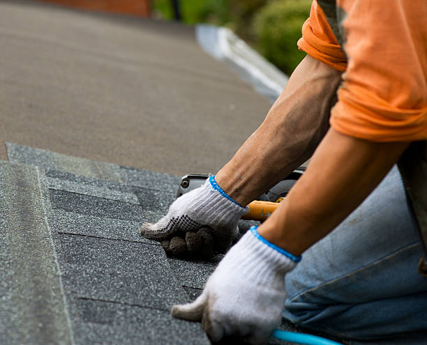 Professional Roofing Contractor in Andalusia, IL