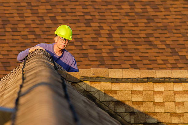 Trusted Andalusia, IL Roofing Contractor Experts